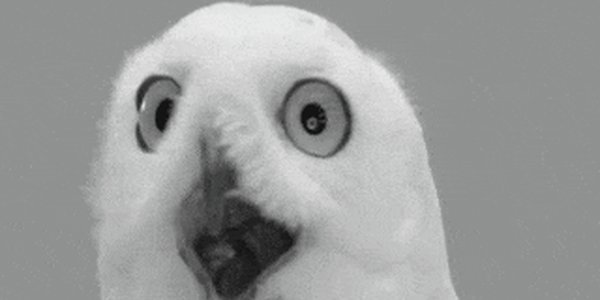 Quand je vois que le staging ne reflète absolument pas la prod