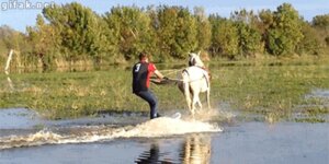 Quand le comportement de l'appli est étrange mais qu'elle fait ce qu'on attend
