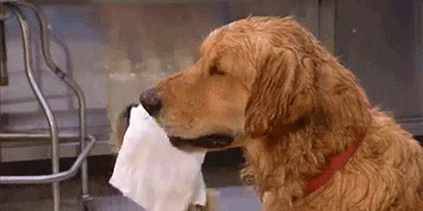 Quand je dois modifier un fichier de config de plusieurs centaines lignes