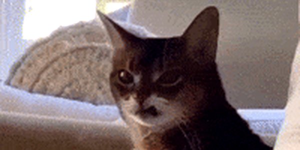 Quand le nouveau CTO veut tout tracker dans Jira