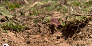 Quand quelqu'un se lève dans l'open space pour aller prendre un café