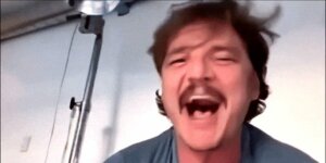 Quand le client demande si on peut enlever les bugs mais garder les features