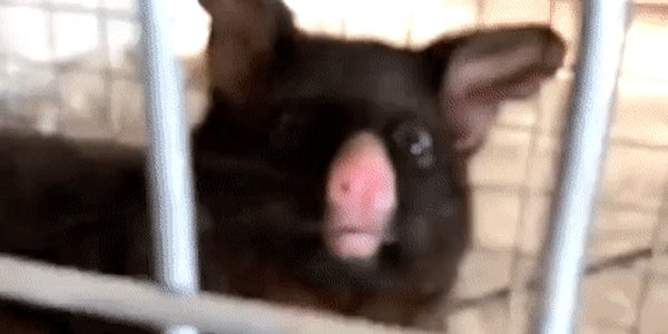 Quand je comprends que ce ne sont pas des comptes de test que je viens de supprimer