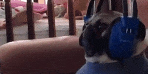 Quand je suis à fond sur mon code avec mon morceau du moment qui tourne en boucle