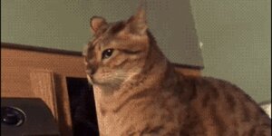 Quand quelqu'un vient me poser une question alors que je suis en plein debug