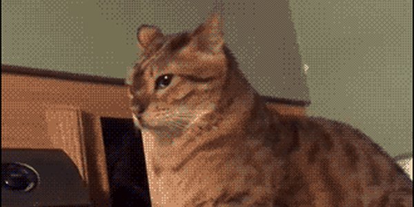 Quand quelqu'un vient me poser une question alors que je suis en plein debug