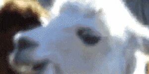 Quand je constate que les dates sont stockées en VARCHAR