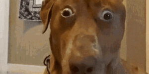 Quand un collègue m’envoie un mail avec en objet "MDP PROD"