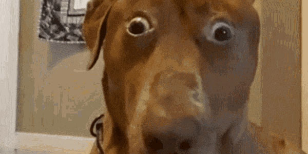 Quand un collègue m’envoie un mail avec en objet "MDP PROD"