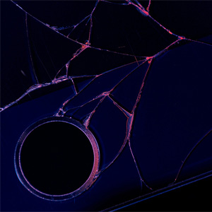 DarkSword : le kit d'exploit iOS a fuité sur GitHub, tout le monde peut pirater des iPhone