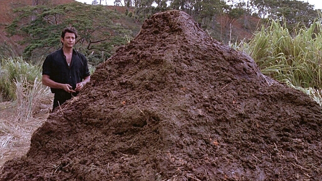 Microsoft promet de réparer Windows 11, et casse tout le même jour.