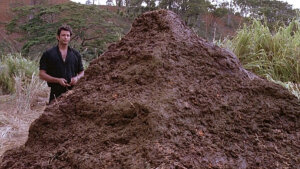 Microsoft promet de réparer Windows 11, et casse tout le même jour.