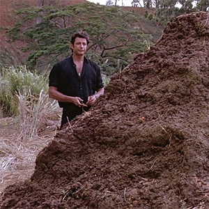 Microsoft promet de réparer Windows 11, et casse tout le même jour.