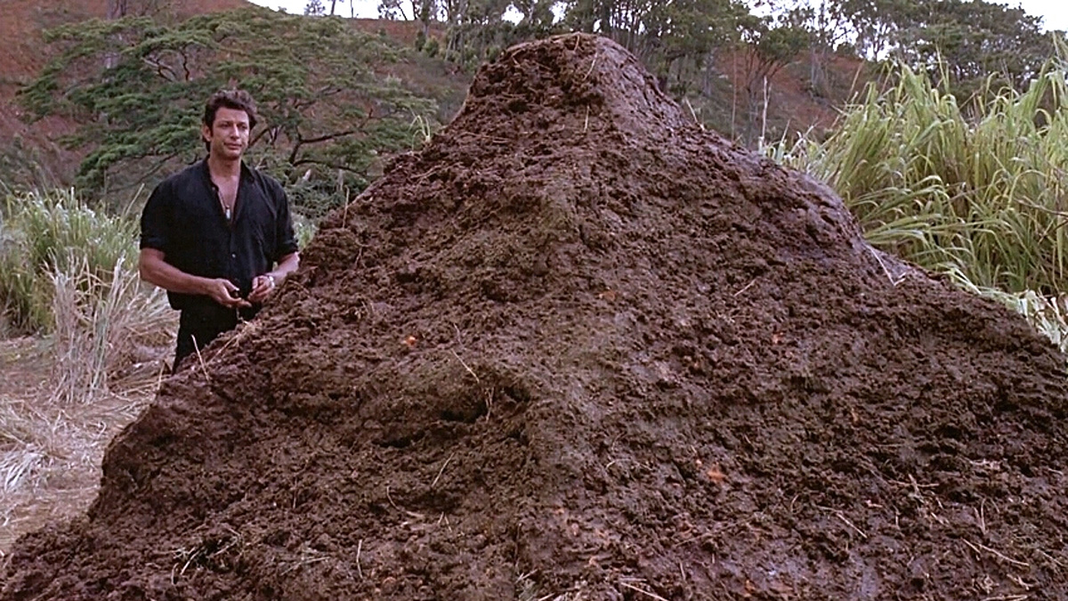 Microsoft promet de réparer Windows 11, et casse tout le même jour.