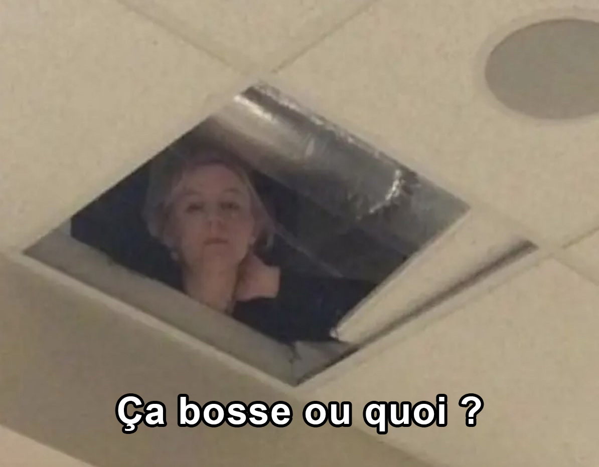 Meme d'une femme qui observe depuis une dalle de plafond retirée, texte ça bosse ou quoi ?