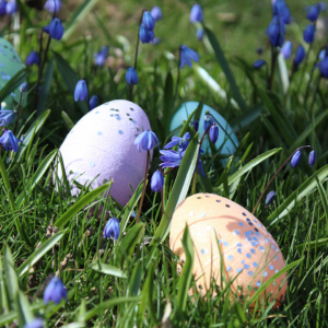 Les meilleurs easter eggs planqués dans vos langages et outils de développeurs