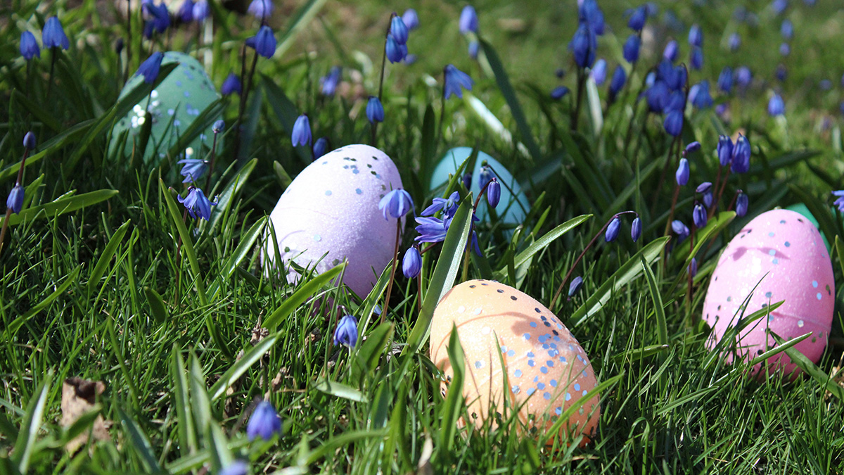 Les meilleurs easter eggs cachés dans vos langages et outils de développeurs