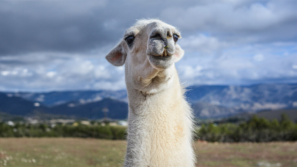 Ollama passe à MLX : l'IA locale sur Mac passe la seconde