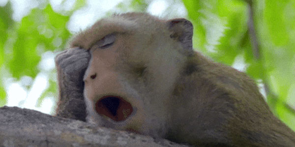 Quand il est 10h passées le lundi matin et que j'ai toujours pas pris mon café