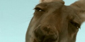 Quand tous mes tests passent du premier coup et que je sens que quelque chose cloche forcément