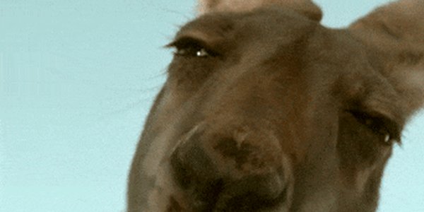 Quand tous mes tests passent du premier coup et que je sens que quelque chose cloche forcément