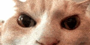 Quand j'ai juré qu'un dev serait fait en 2 jours et que j'en suis toujours à la config au bout de 3 jours