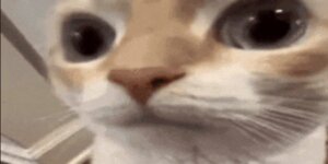 Quand je rejoins le call du lundi matin et que je suis le seul en caméra
