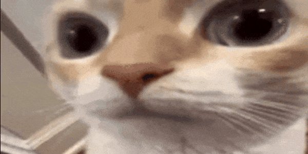 Quand je rejoins le call du lundi matin et que je suis le seul en caméra