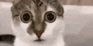 Quand le PO annonce une "petite story" pour "repenser tout le tunnel d'achat"