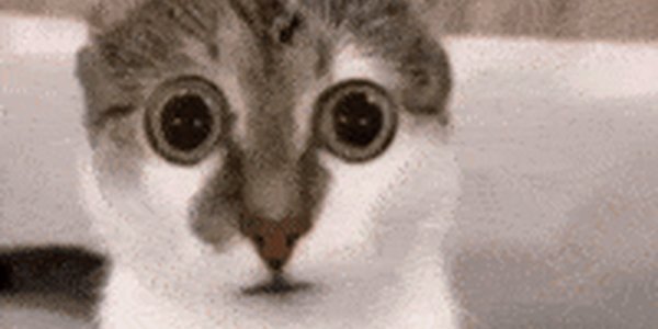 Quand le PO annonce une "petite story" pour "repenser tout le tunnel d'achat"