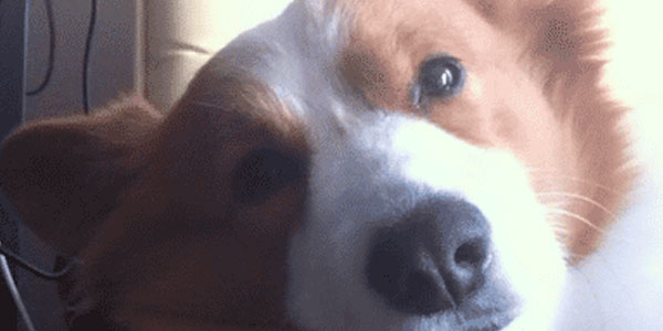 Quand j'entends l'alternant dire qu'il vient de livrer un truc vite fait sur la prod