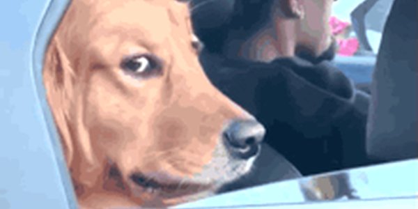 Quand le designer me demande pourquoi le bouton bouge d'un pixel entre Chrome et Safari