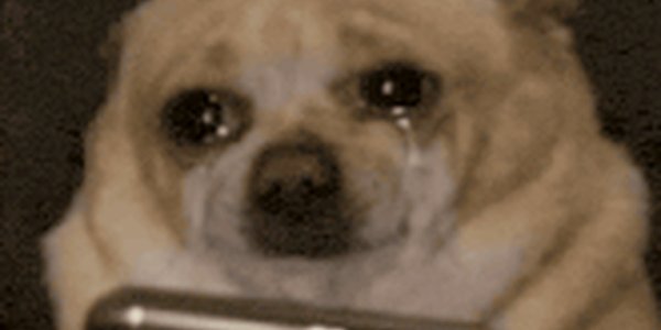 Quand je remonte un point bloquant et que chaque personne à qui on me renvoie est en vacances pour trois semaines