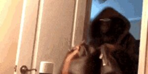 Quand le chef me demande de setup une démo rapide pour un prospect