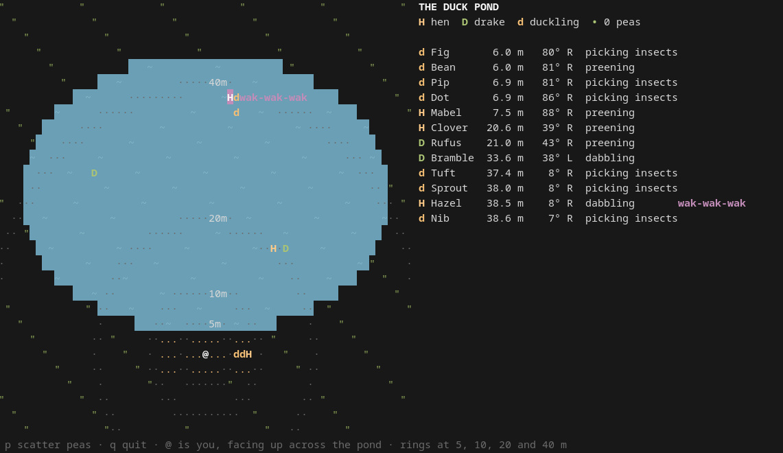 Capture du terminal : une mare en ASCII où des canards (poules, mâles, canetons) se déplacent et lancent des wak-wak-wak