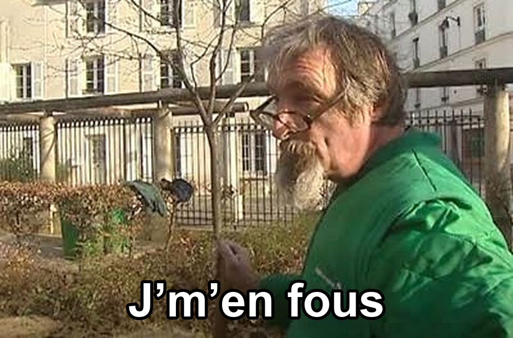 Meme du jardinier à lunettes et veste verte, tenant un arbuste dans un square, avec la légende J'm'en fous