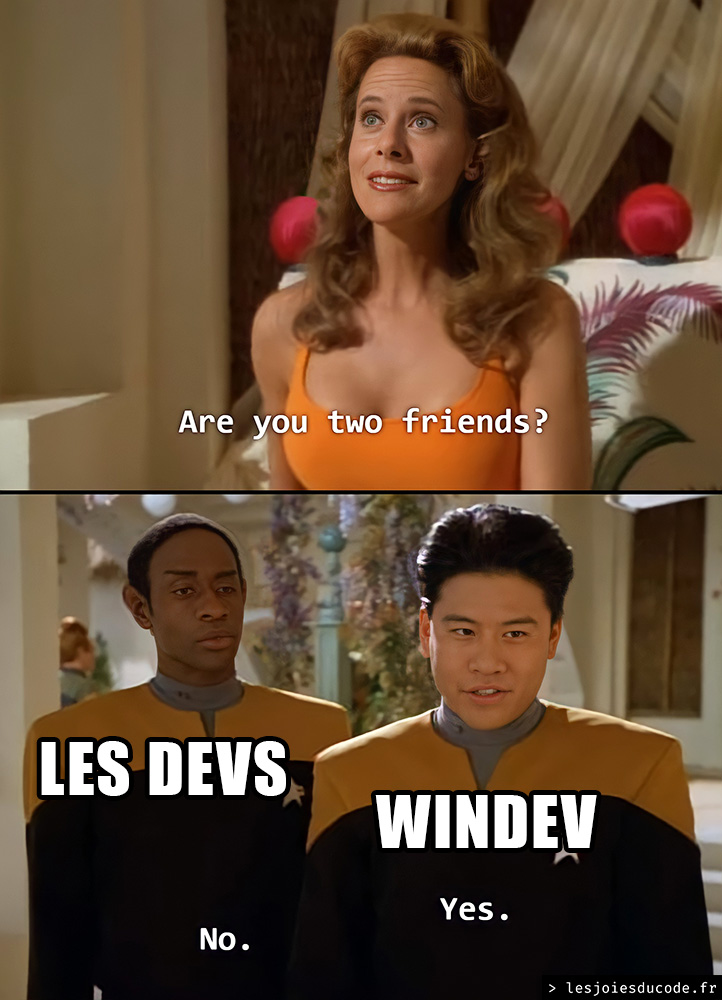 Meme Voyager êtes-vous amis ? : les devs disent non, WINDEV répond oui