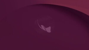 Ubuntu 26.10 est sorti, et ses coreutils passent à 100 % en Rust